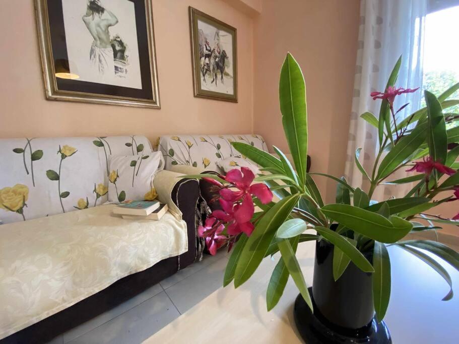 Taddore Green Lodge Galtellì Zewnętrze zdjęcie